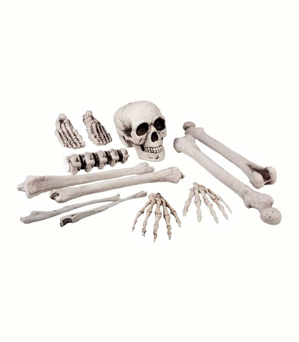 Skrämmande Skelettset halloween